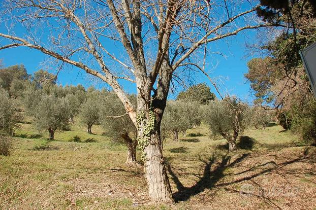 Tuoro sul trasimeno (pg) loc. torraccia lotto 2