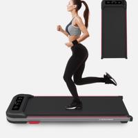 Tapirulan - Pari al nuovo