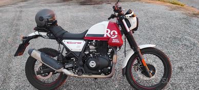 Scam himalayan