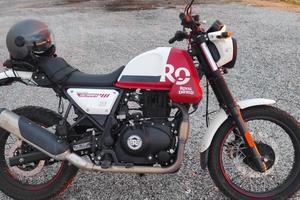 Scam himalayan