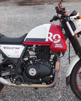 Scam himalayan