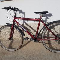 Bicicletta uomo