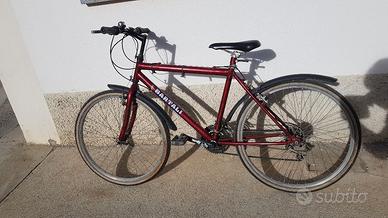 Bicicletta uomo