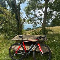 Specialized bicicletta da strada modello tarmac