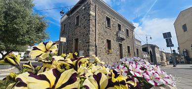 Rara indipendente unica nel suo genere