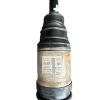 Ammortizzatore Posteriore Destro Range Rover Sport