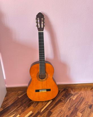 Chitarra EKO CS10 con custodia