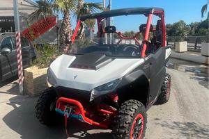 Quad Buggy Segway 1000 110 cv