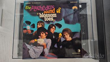 The psychedelic sound of blossom toes