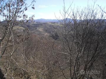 Terreni boschivi e seminativi