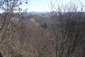 Terreni boschivi e seminativi