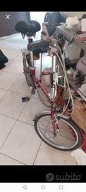 Bici pieghevole