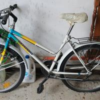 Bicicletta Mountain bike Donna mis. 24