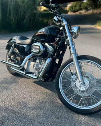 Harley davidson 883