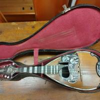 mandolino