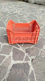 Cassette Impilabili per Olive, Uva e Frutta