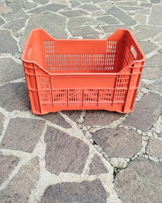 Cassette Impilabili per Olive, Uva e Frutta