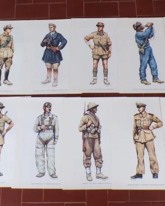 EL ALAMEIN 1942-2002 - 15 tavole PIETRO COMPAGNI