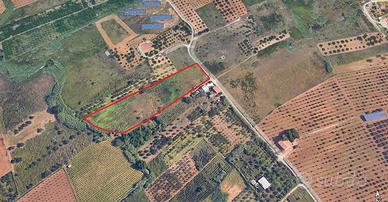 Terreno agricolo a Partinico,Cda Bosco Falconeria