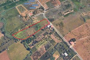 Terreno agricolo a Partinico,Cda Bosco Falconeria