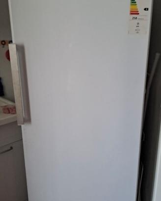 Freezer verticale