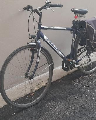 Bicicletta sportiva uomo