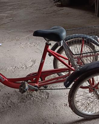 bicicletta tre ruote