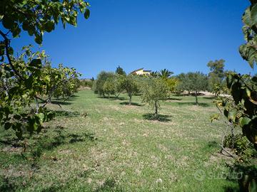 Terreno con possibilità di edificare