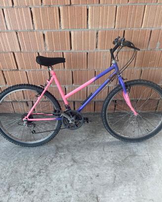 MTB vintage 26” anni ’90
