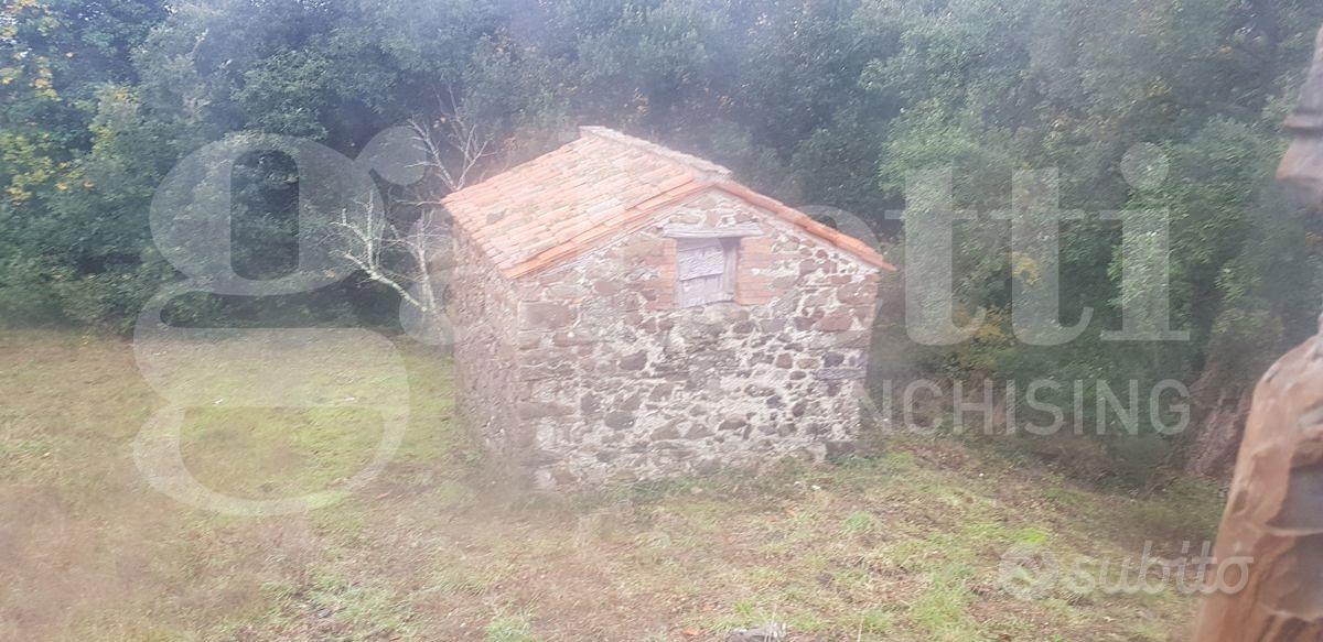 Rustico/Casale/Corte Massa Marittima [rif.52VRG] - Vista 5