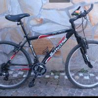  MTB Bottecchia 