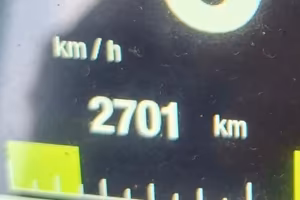 DUCATI MULTISTRADA 950s GPWHITE (2020)