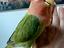 Immagine 2