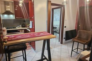 Appartamento ristrutturato con giardino e taverna