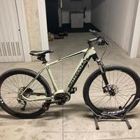 Bicicletta elettrica