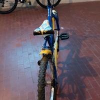 Bicicletta misura 20
