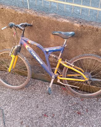 Bicicletta