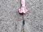 Immagine 4