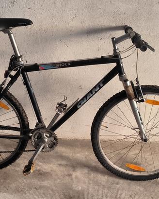 bici Mountain bike 