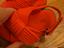 Immagine 5
