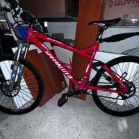 mtb Specialized