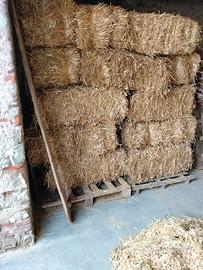 Paglia in balle piccole