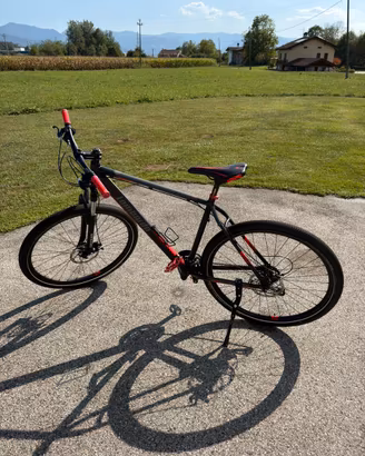 Bici Lombardo