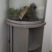 Acquario 