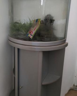 Acquario 