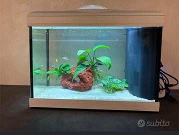 Acquario nuovo di 2 mesi da 30 litri