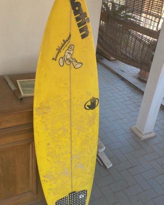 Tavola surf