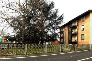Bilocale a Ferrera Erbognone