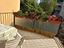 Immagine 13