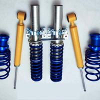 Assetto a Ghiera Regolabile Seat Ibiza IV 6J